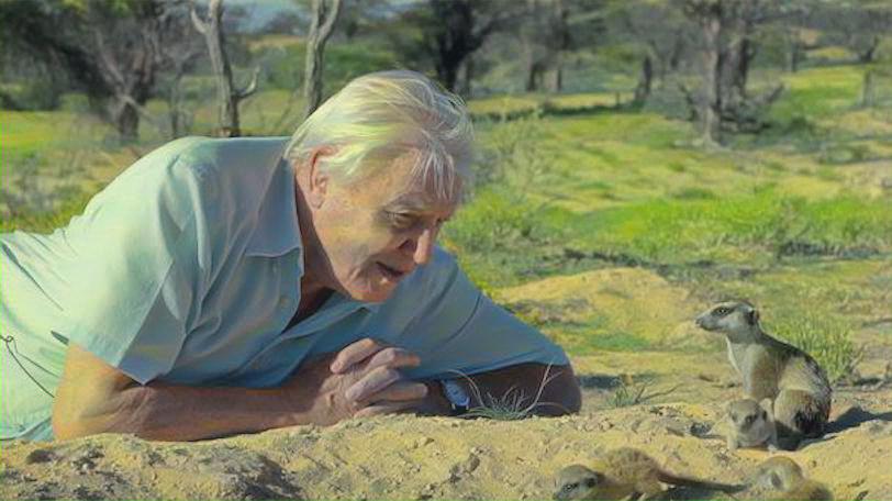 sir david styled with default parameter values